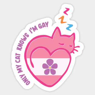 only my cat knows im gay Sticker